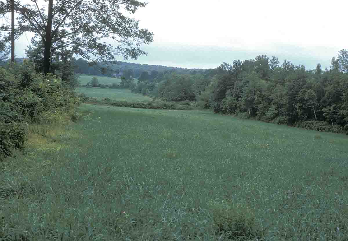 This is the typical piece of farmland in the east. Each field is roughly 100-150 yards in length and with a natural barrier between each makes for good cover while glassing.
